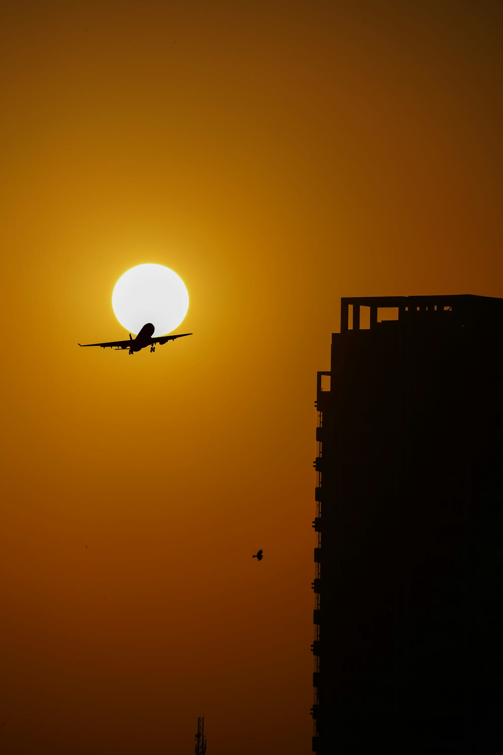 a plane flying in front of the setting sun