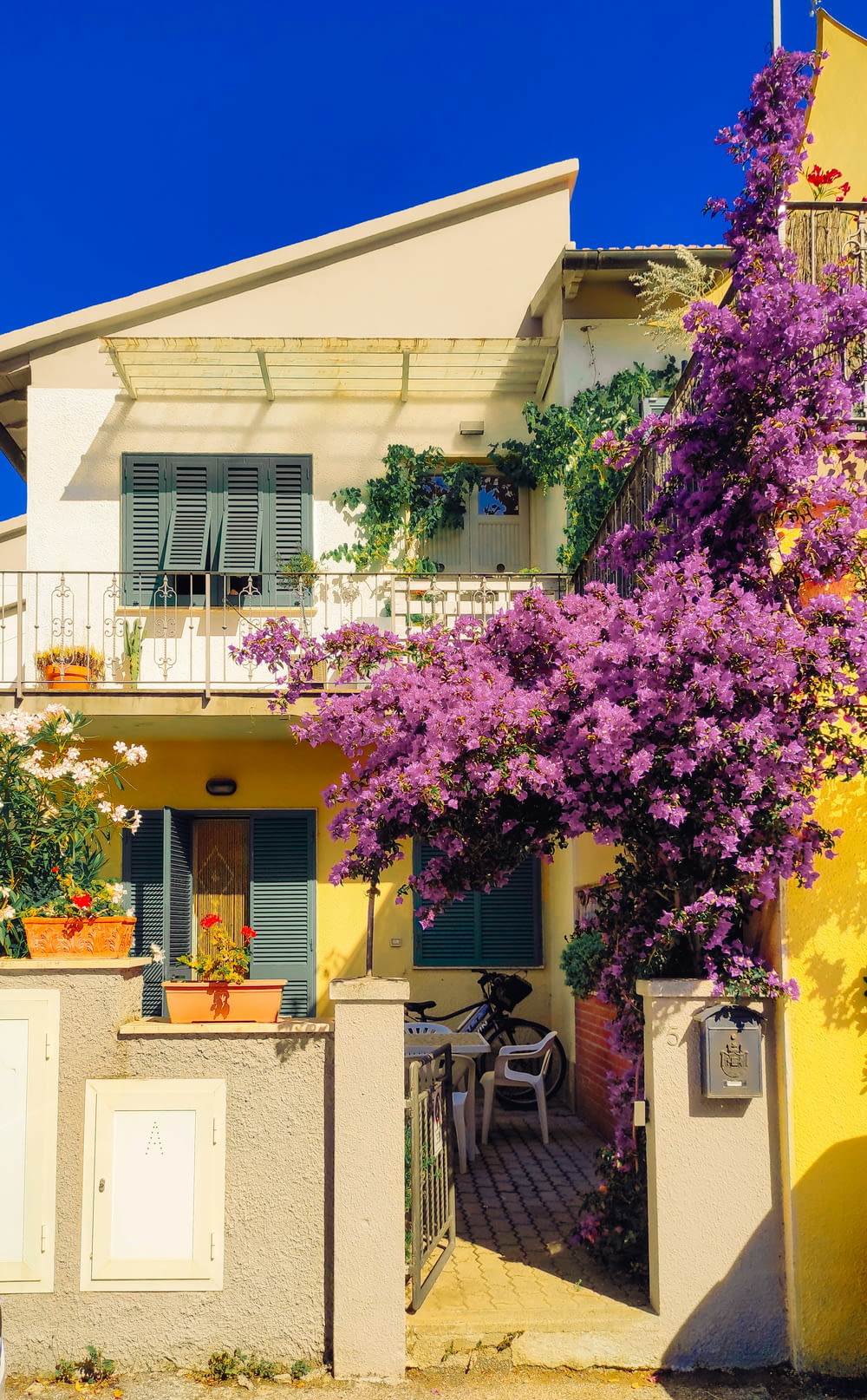 a yellow house with purple flowers on it