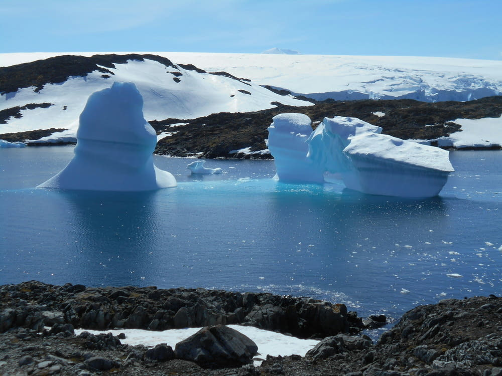 Un grupo de icebergs flotando sobre un cuerpo de agua