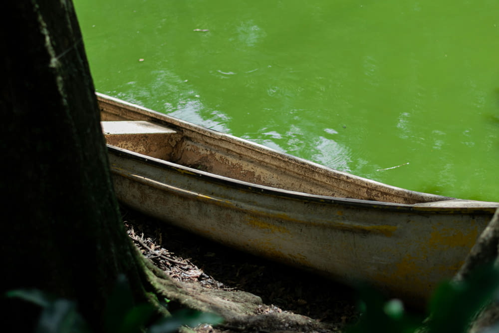 a canoe sitting on the shore of a lake