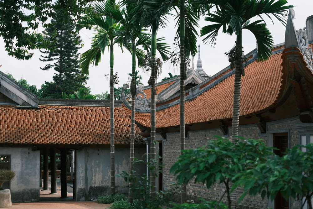 a building with a red tiled roof surrounded by palm trees