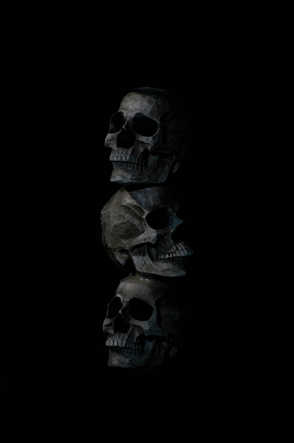 a group of skulls sitting on top of each other