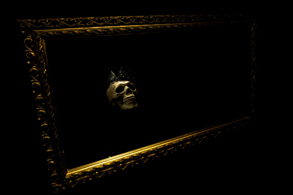 a picture of a skull in a gold frame