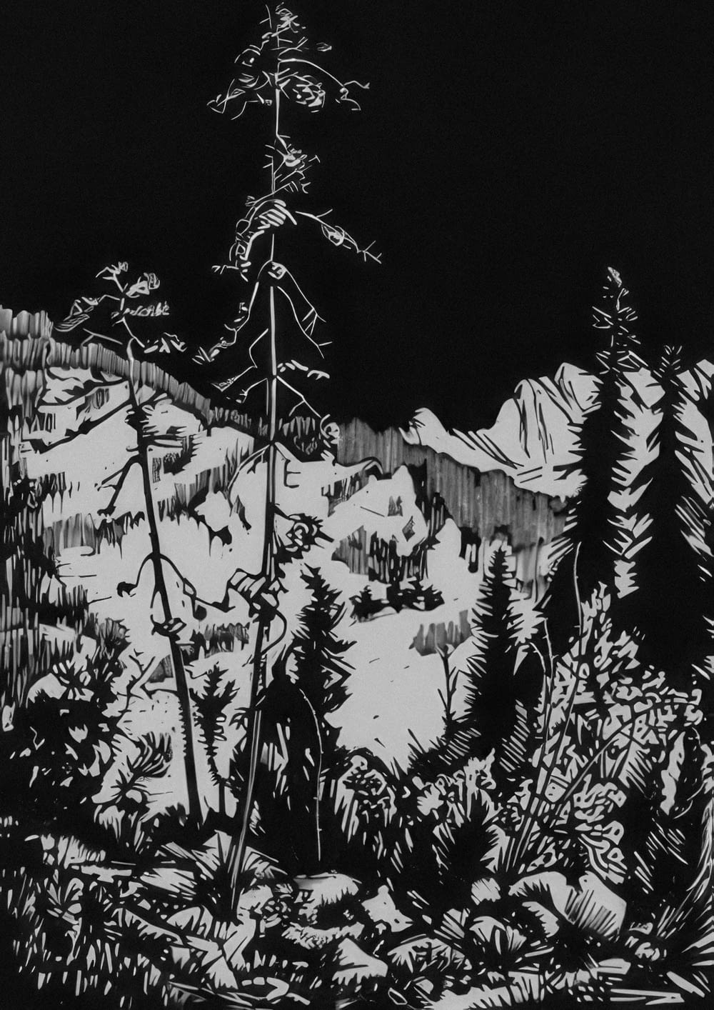 a black and white drawing of trees and mountains