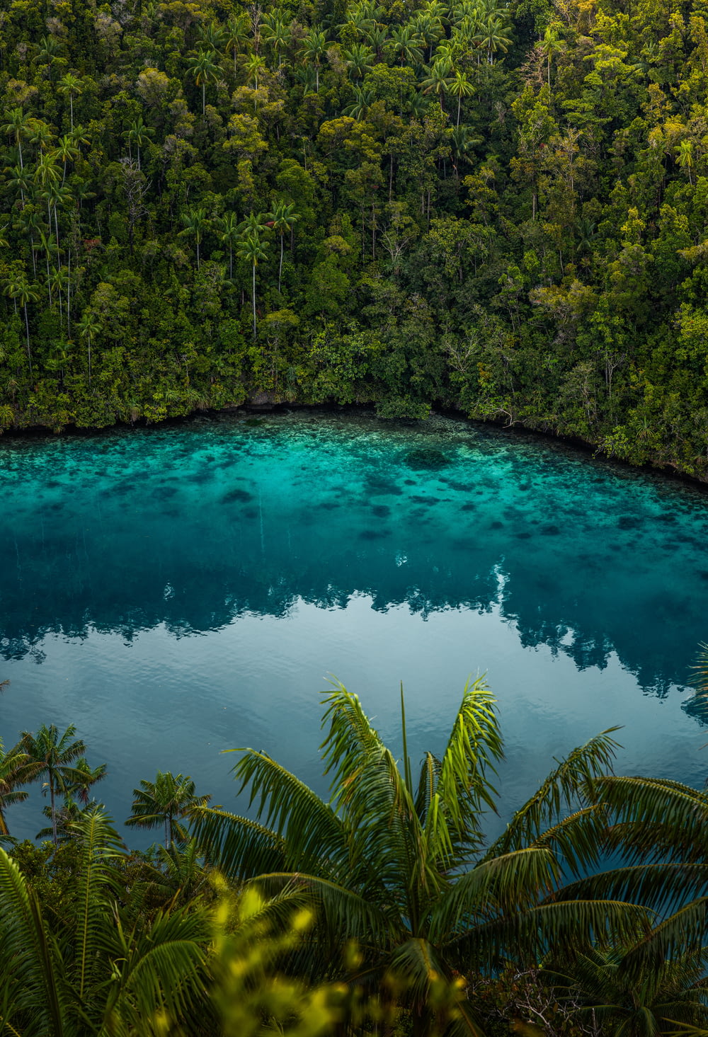 a blue lake surrounded by trees in the middle of a forest