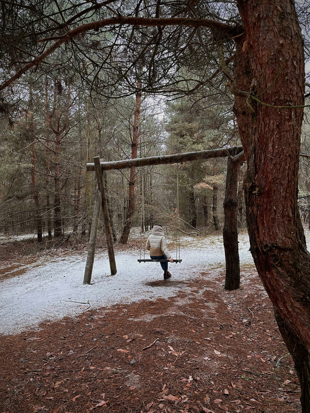 a person sitting on a swing in the woods