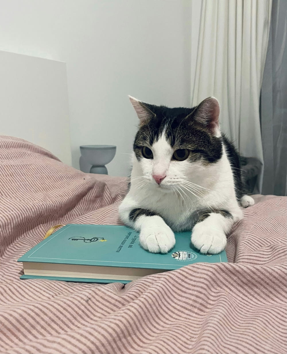 a cat laying on top of a book on a bed