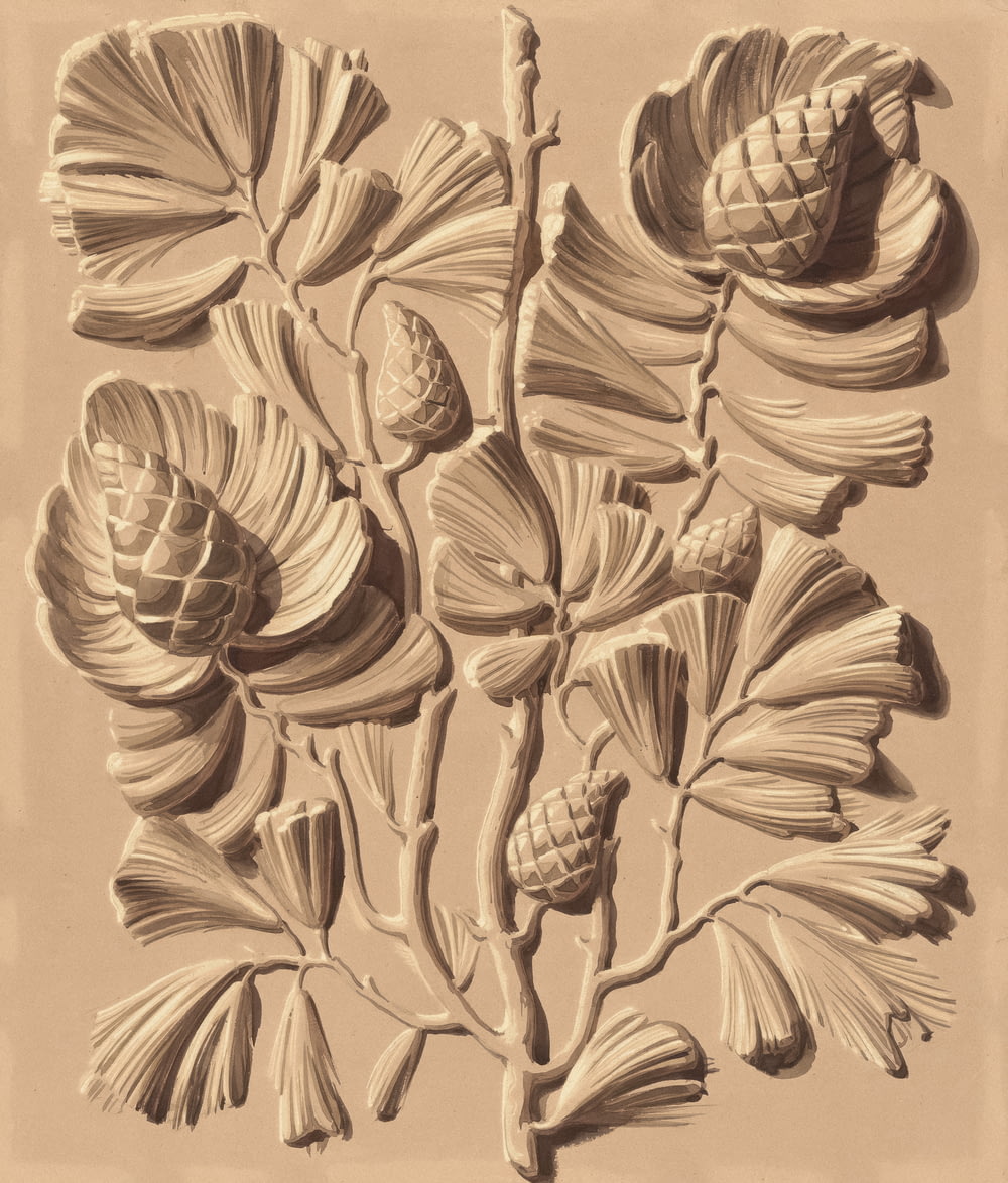 a drawing of a flower on a beige background