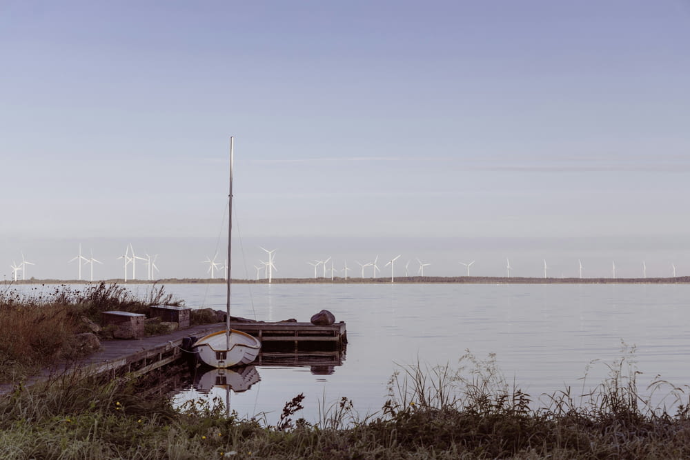 a body of water with a bunch of windmills in the background