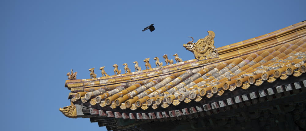 a bird flying over a building with a golden roof