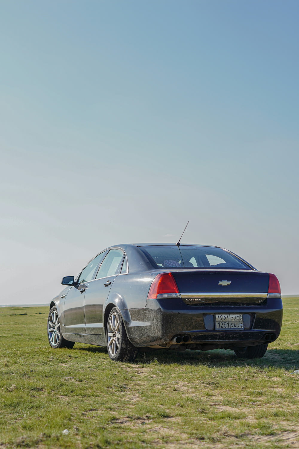 a silver car parked in a grassy field
