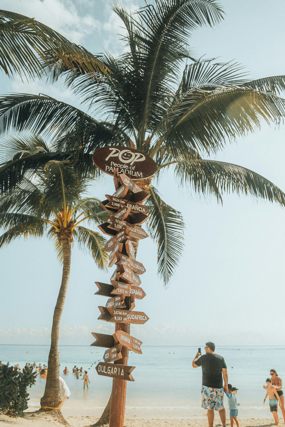a palm tree on a beach with people standing around