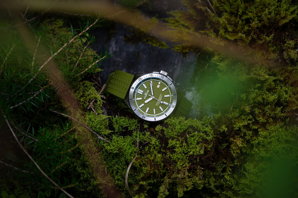 a watch sitting on top of a lush green forest