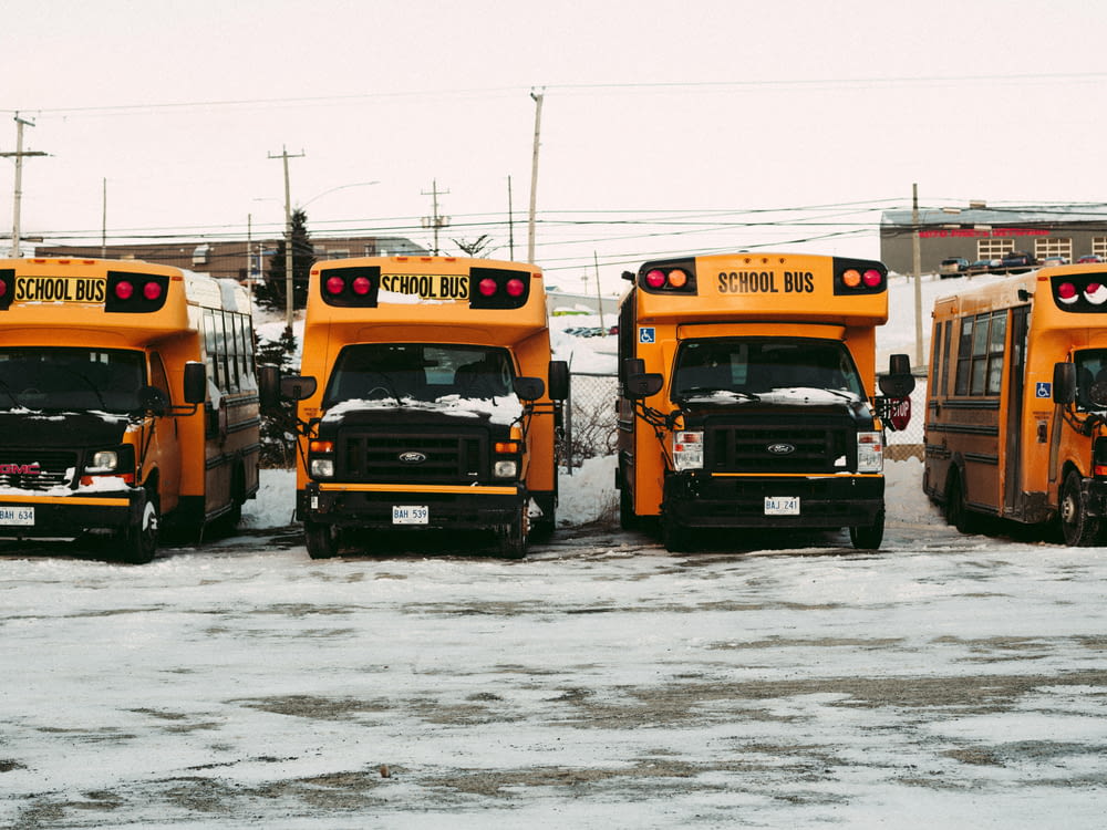 a group of school buses parked next to each other
