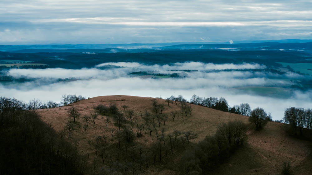 a hill covered in fog with trees on top of it