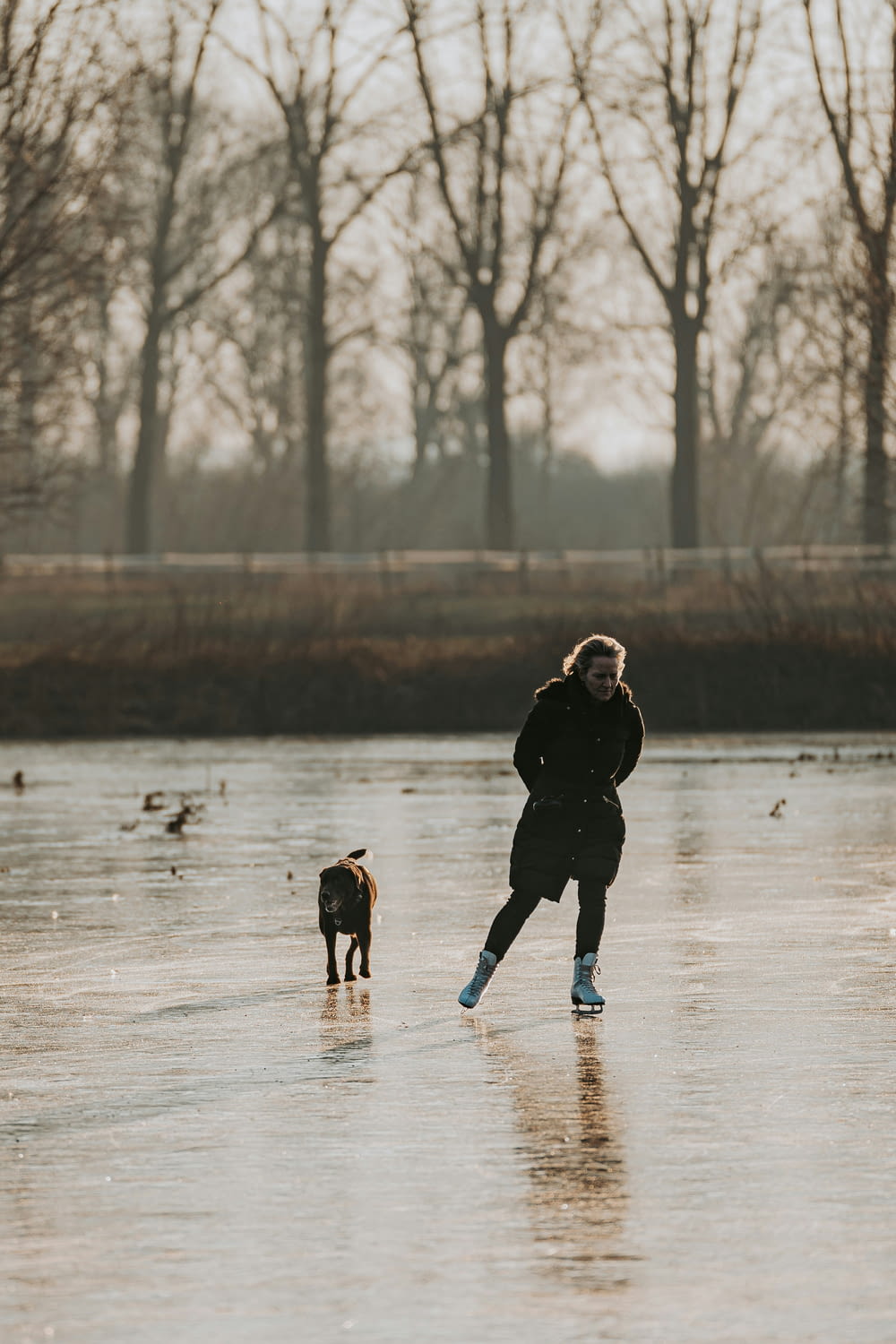a person and a dog on a frozen lake