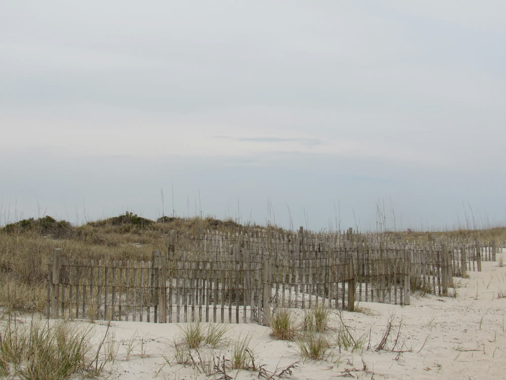a sandy beach with a fence and grass