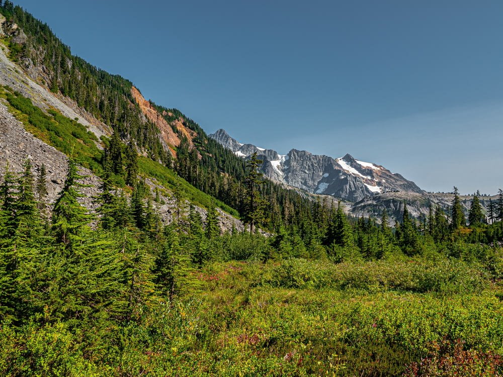 a view of a mountain range with trees and bushes
