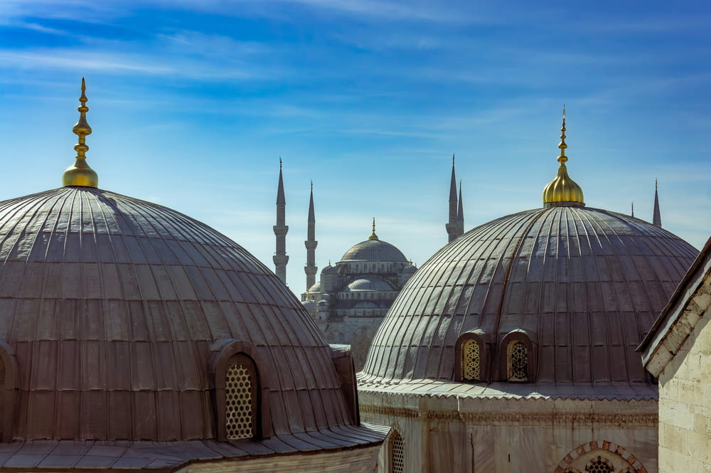 a view of a group of domes in a city