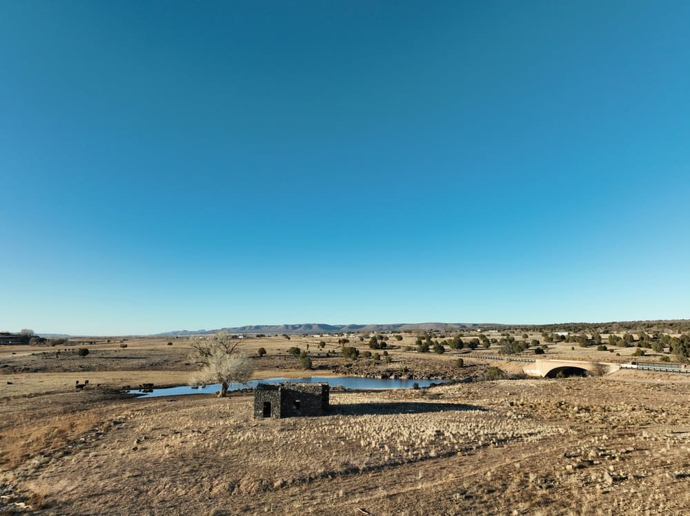 there is a small pond in the middle of the desert