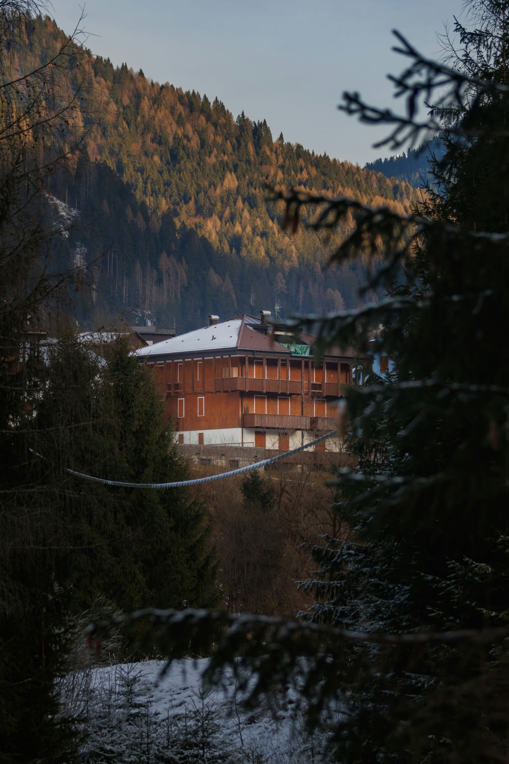 a building in the middle of a forest with a mountain in the background