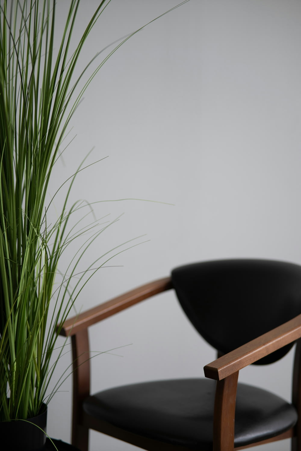 a black chair next to a potted plant