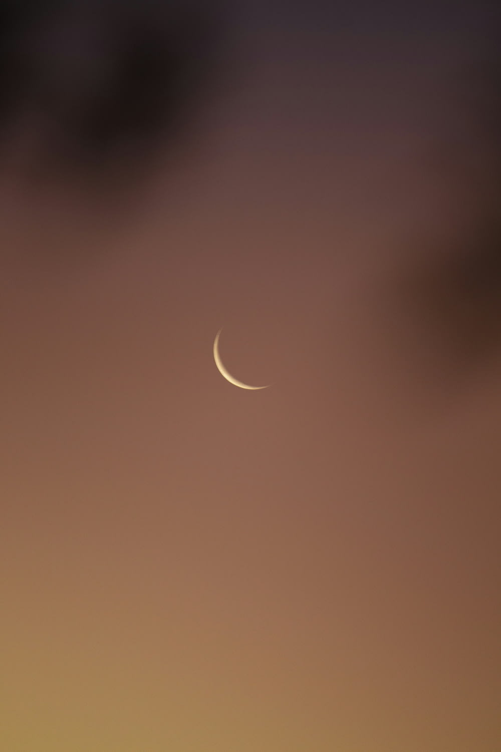 a crescent is seen in the sky at dusk