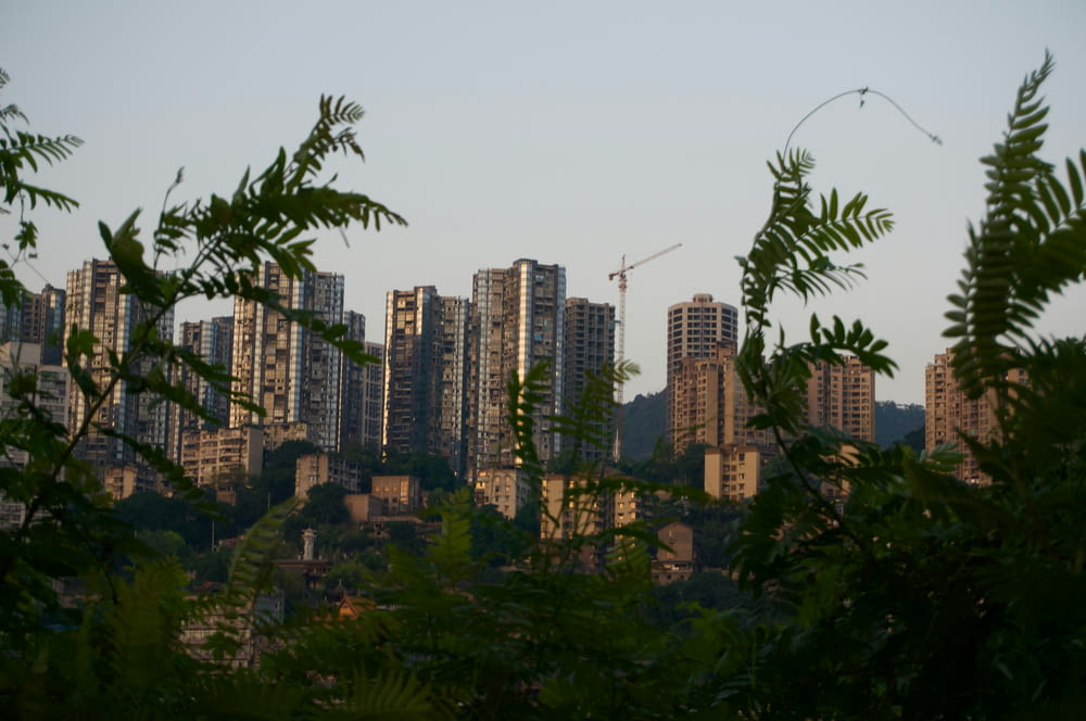 a view of a city with tall buildings in the background