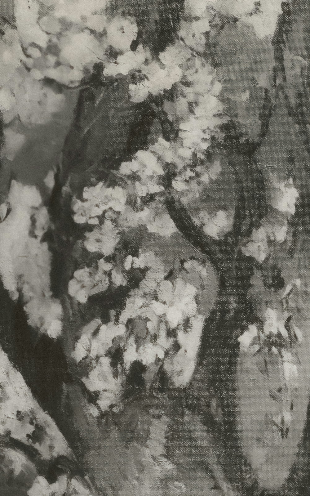 a black and white photo of a tree with white flowers