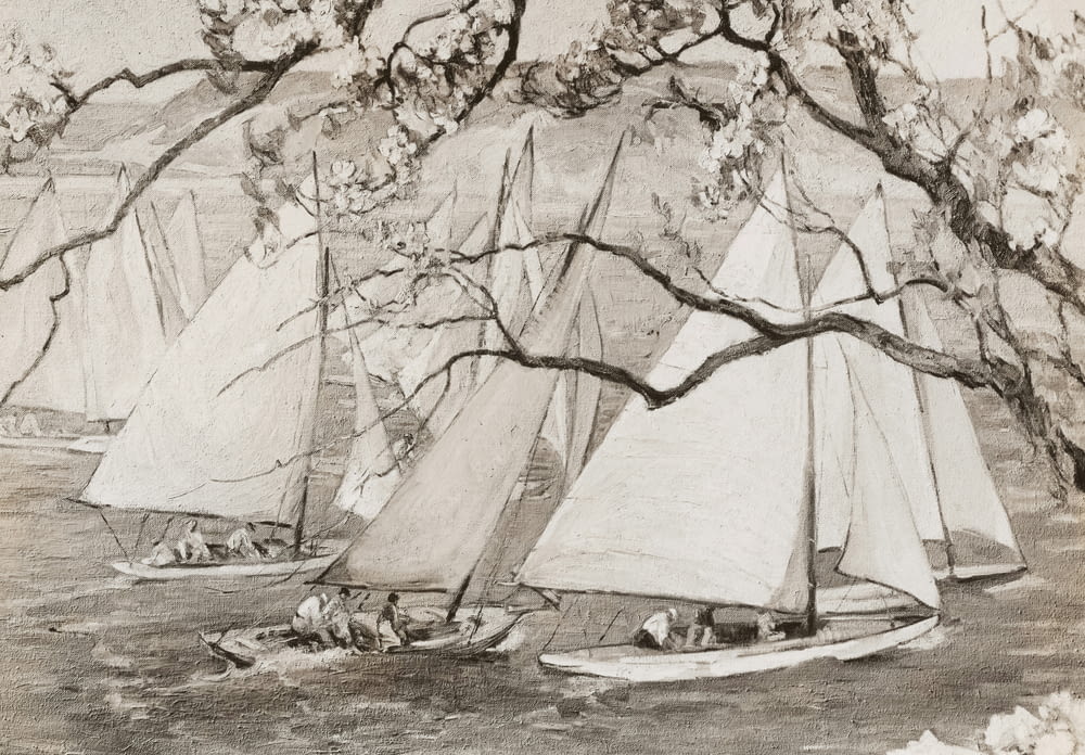 a drawing of a group of sailboats in the water