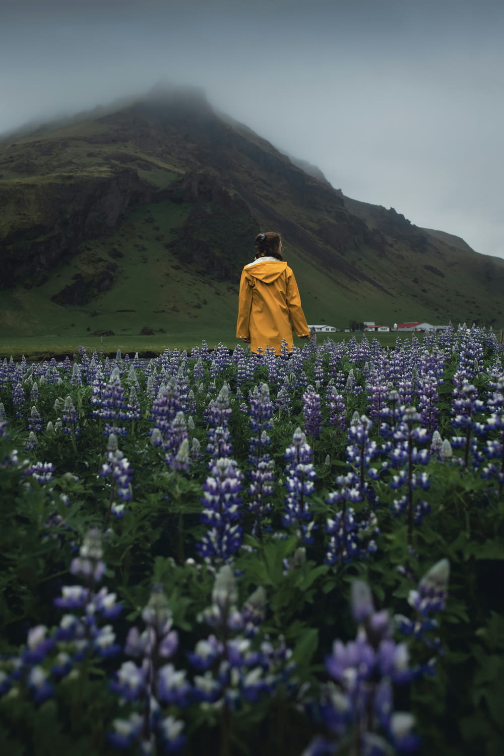 une personne debout dans un champ de fleurs