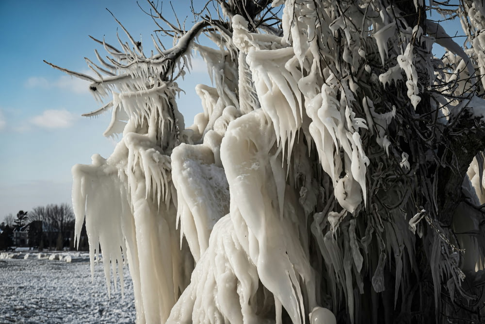 a group of ice sculptures hanging from a tree