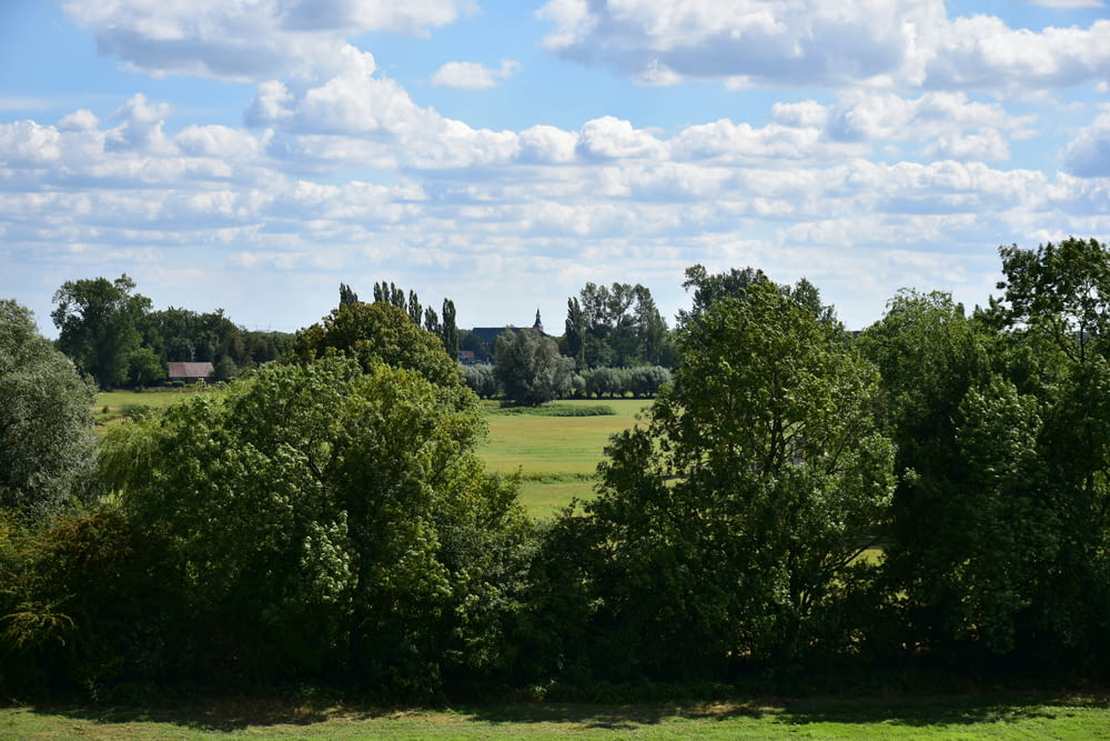 a field with trees and a house in the distance