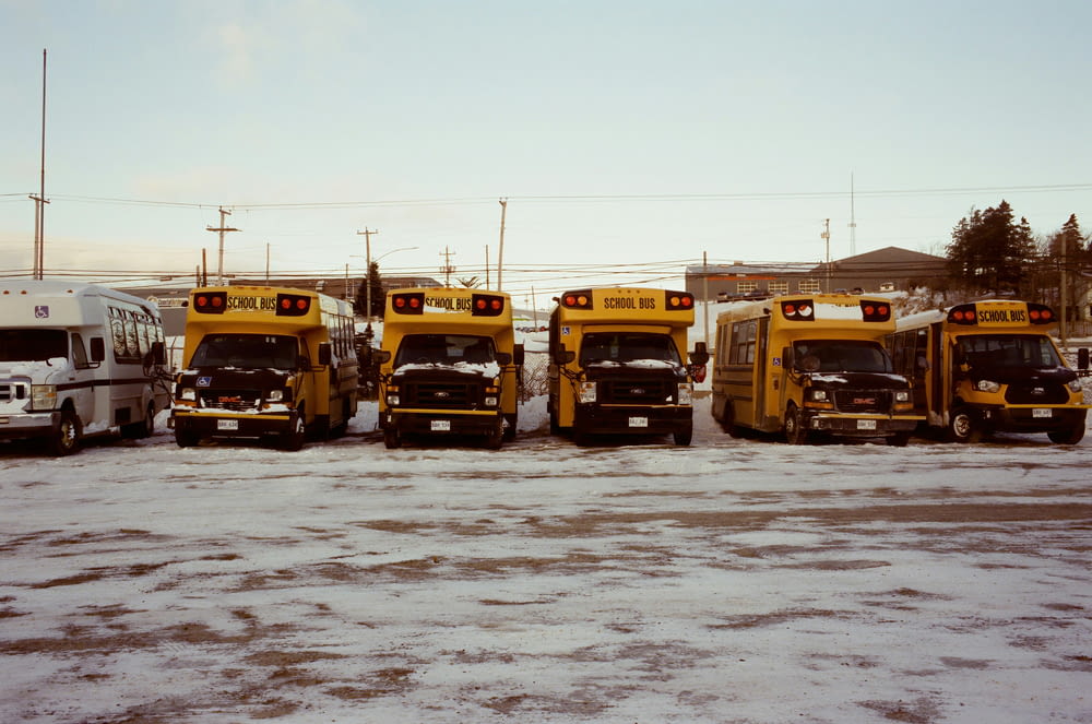 a group of yellow school buses parked next to each other