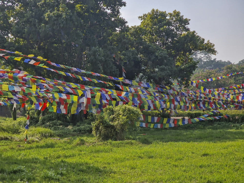 a bunch of colorful flags hanging in a field