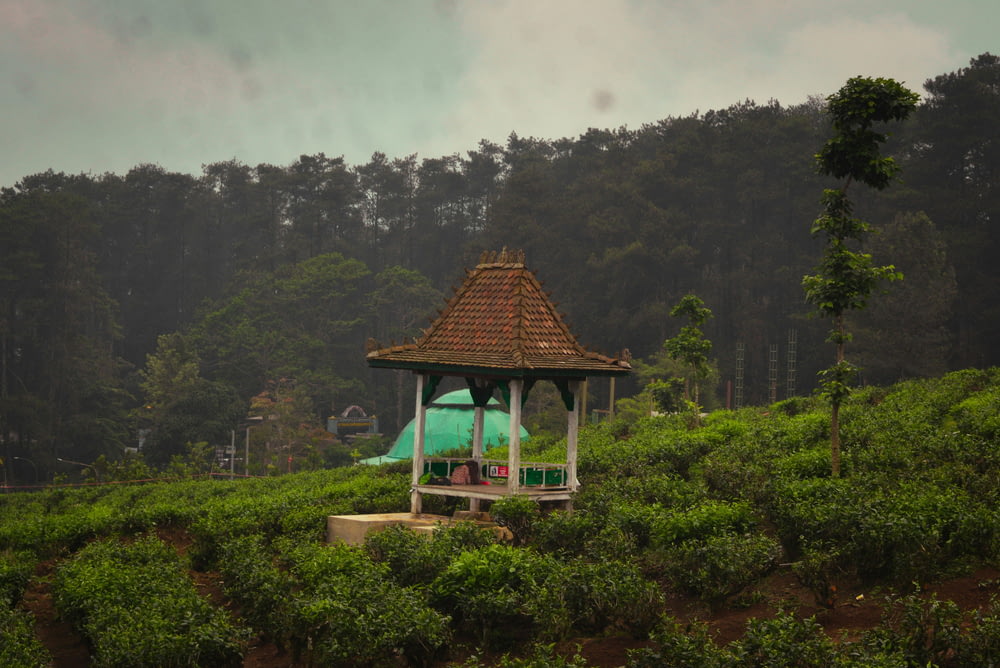 a gazebo in the middle of a lush green field