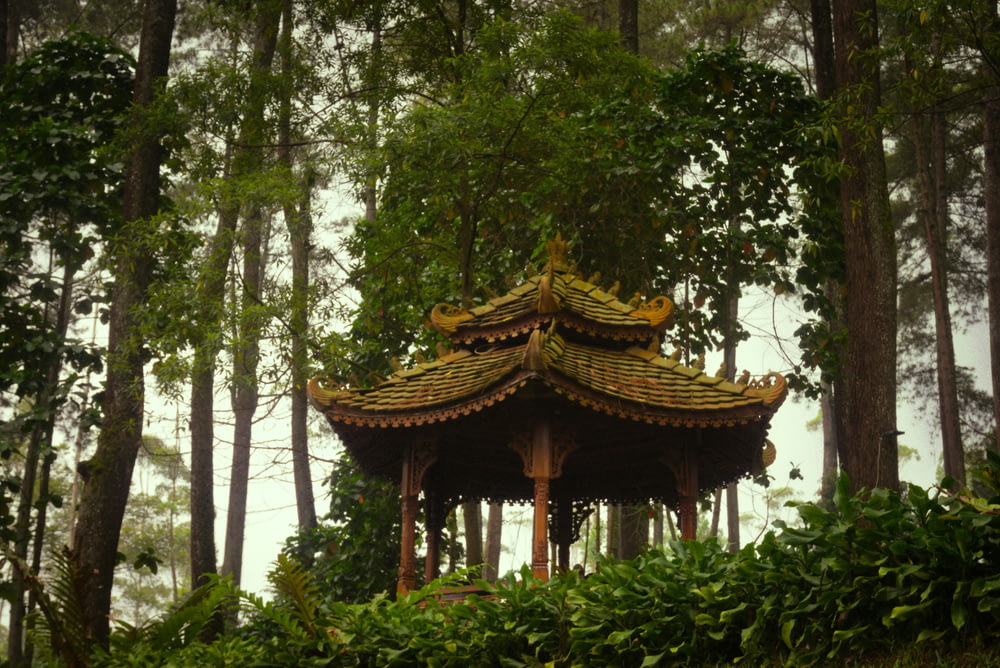 a gazebo in the middle of a forest
