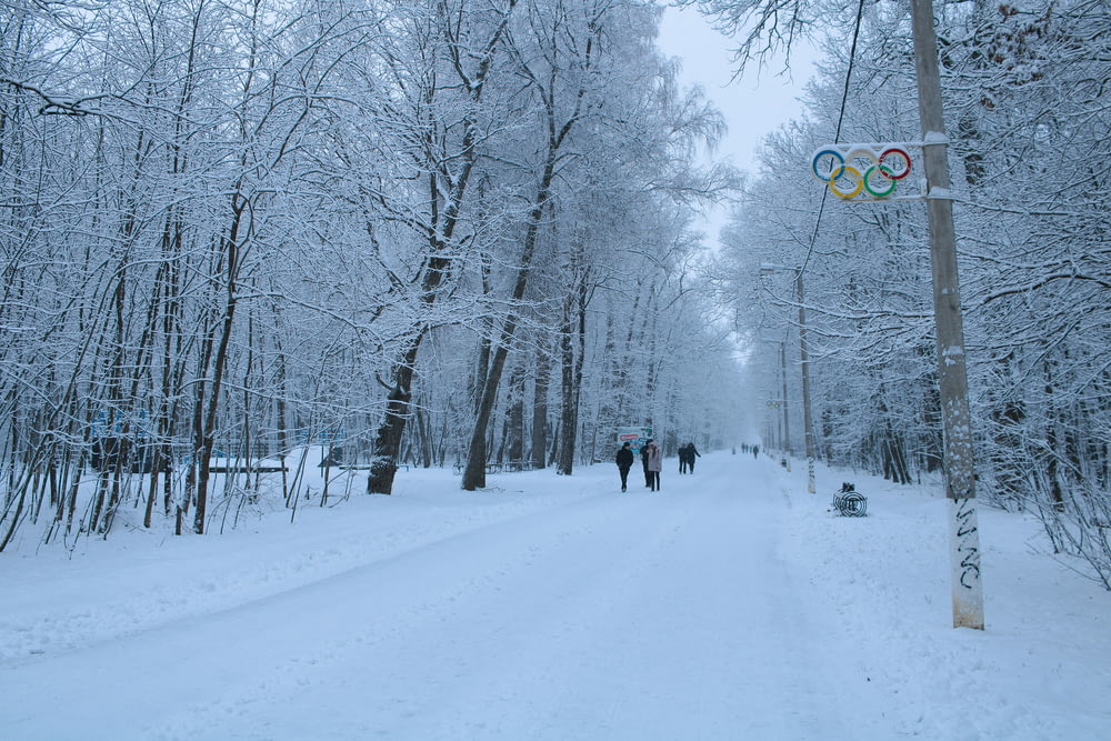 a group of people walking down a snow covered road