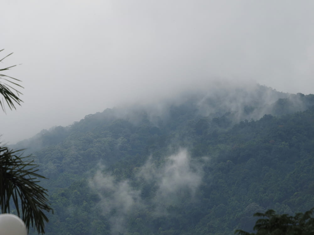 a view of a mountain with low lying clouds