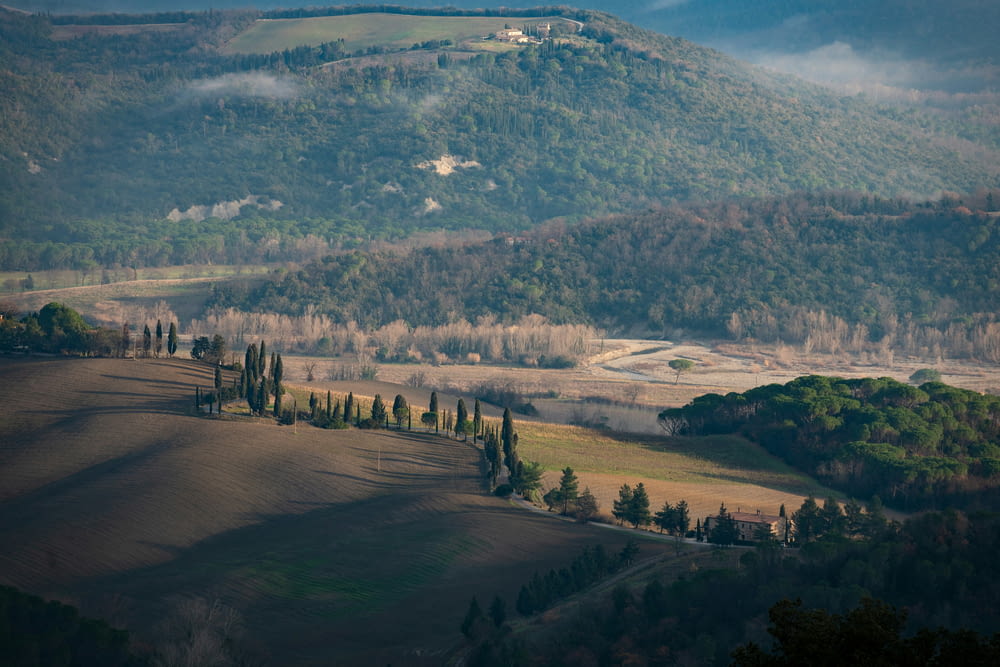 Una vista panorámica de un valle con colinas onduladas al fondo