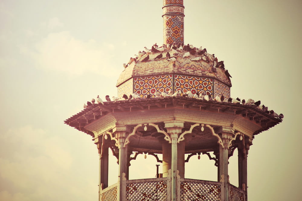 a gazebo with birds sitting on top of it