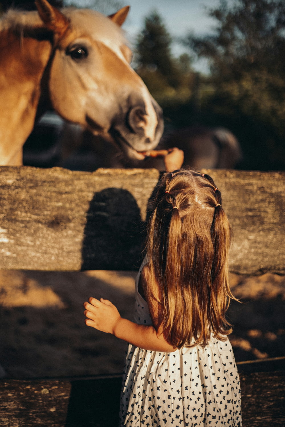 a little girl standing next to a brown horse