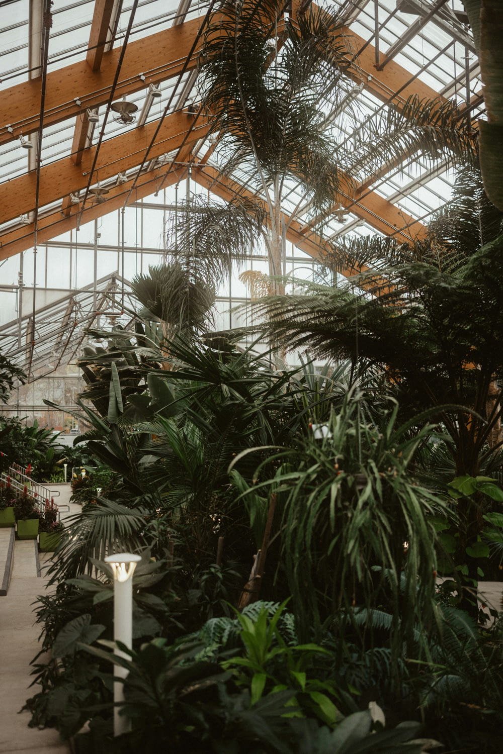 the inside of a greenhouse with lots of plants