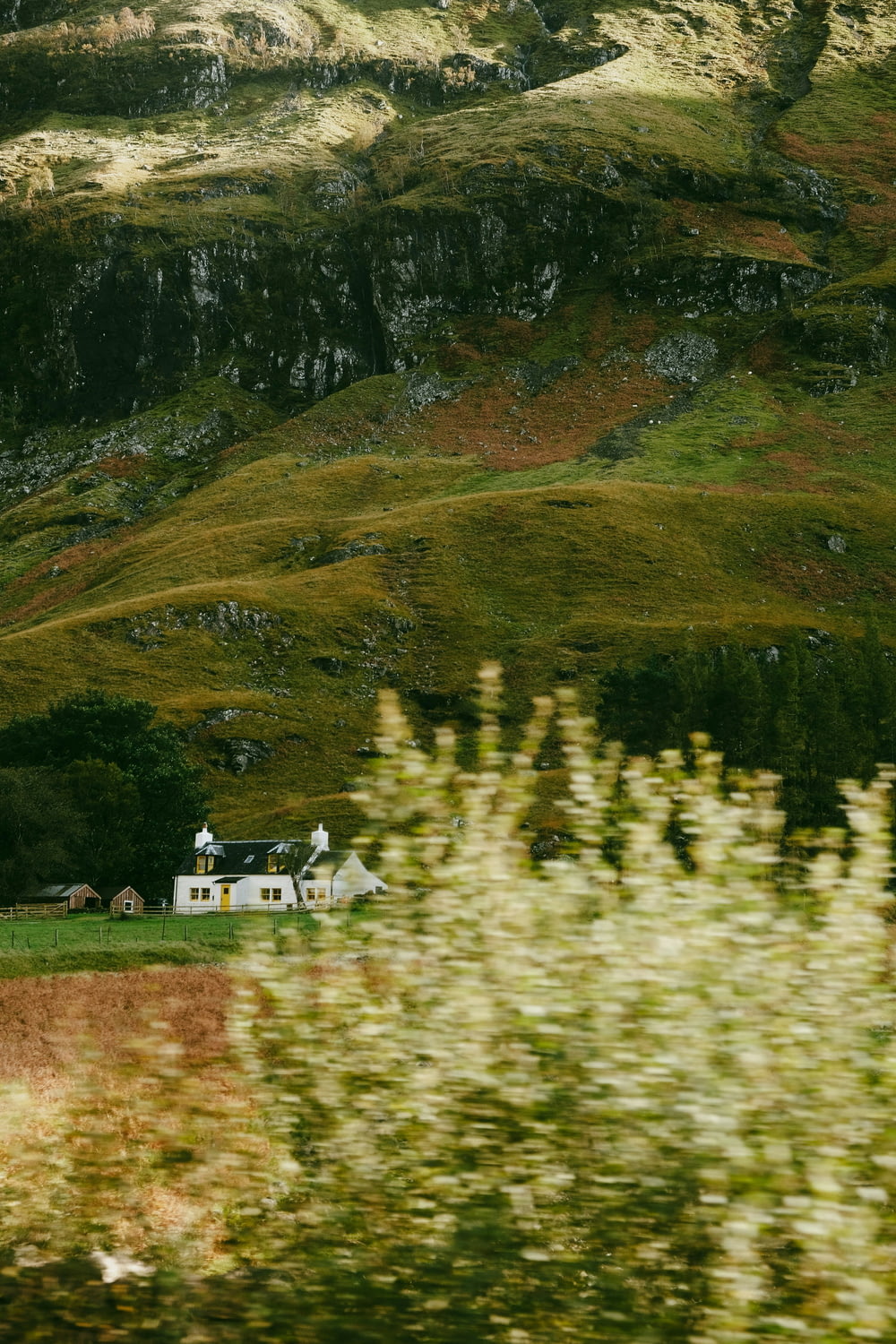 una casa in mezzo a un campo con una montagna sullo sfondo