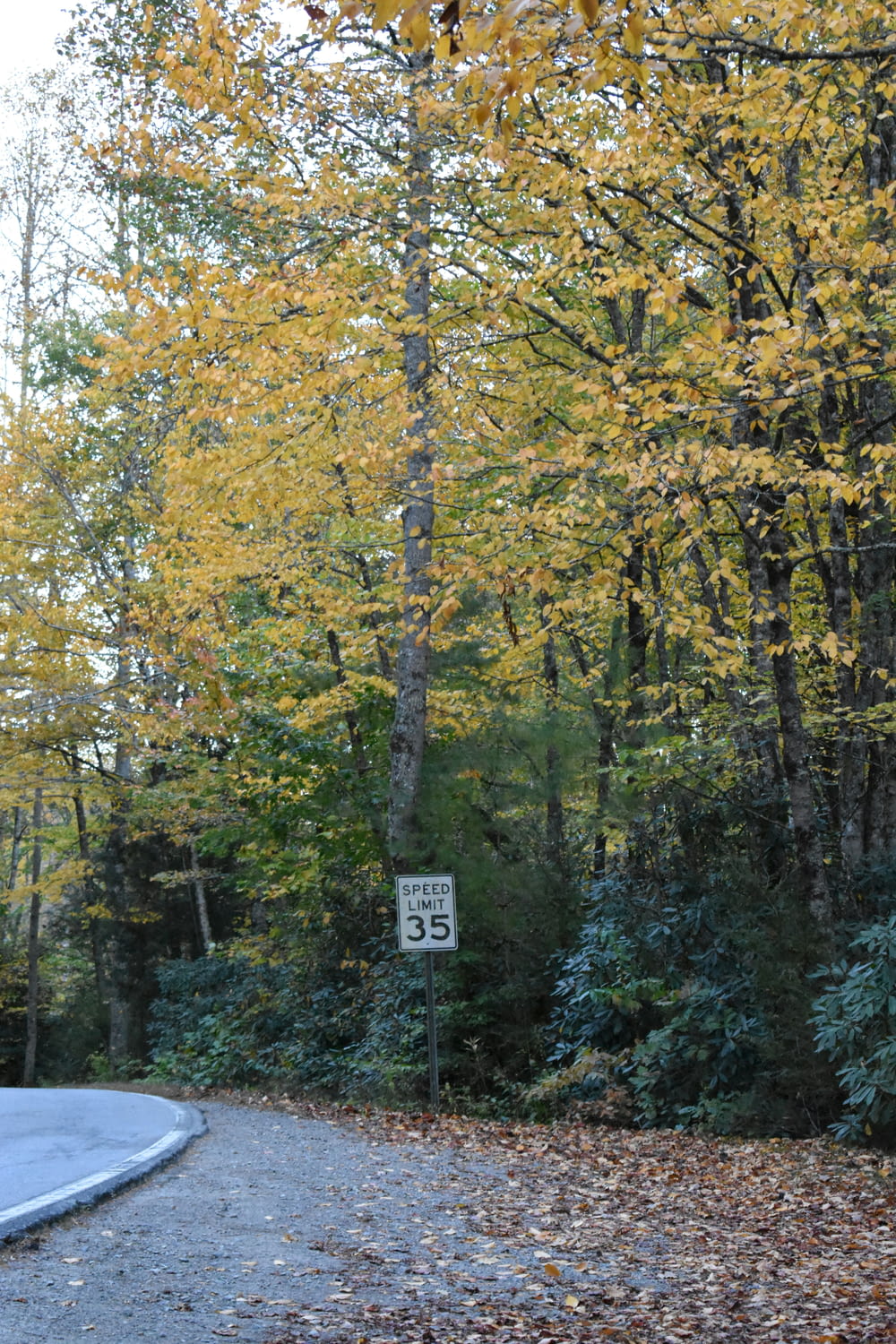 a street sign on the side of a road surrounded by trees