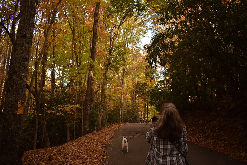 a woman taking a picture of a dog on a path