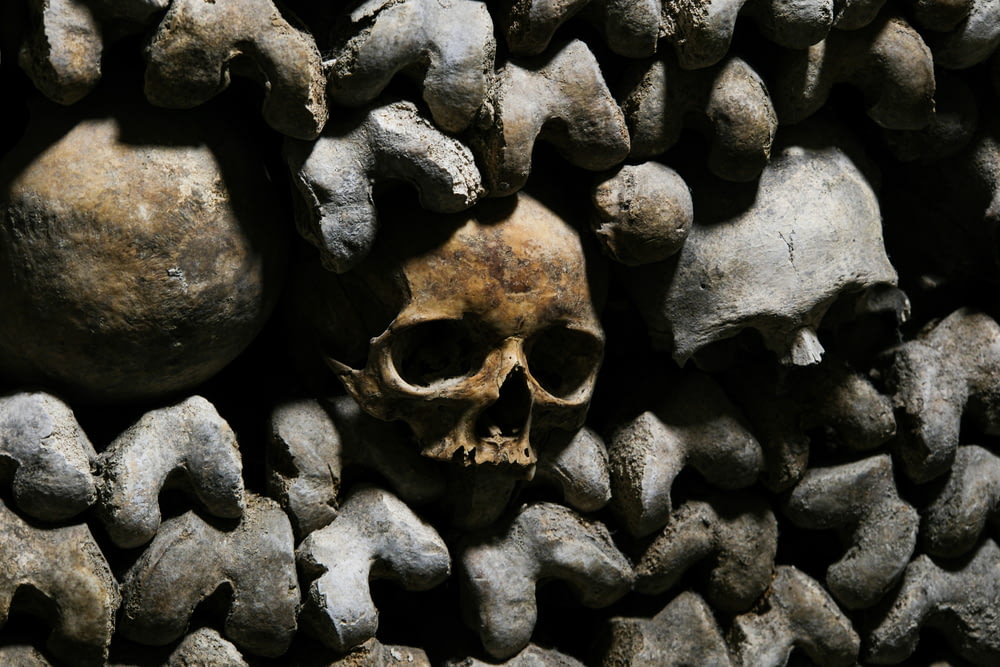a pile of rocks with a skull in the middle