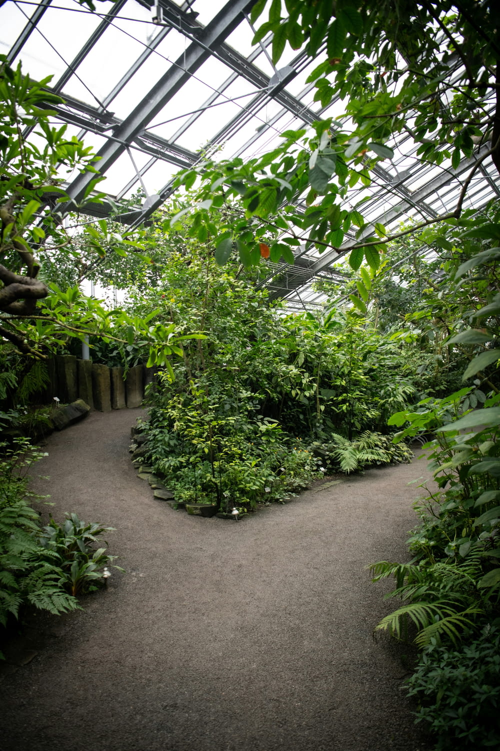 a walkway in a green house with lots of plants