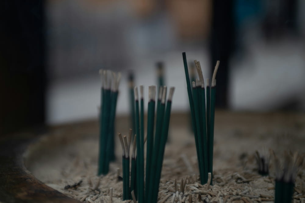 a close up of a bunch of toothbrushes in a bowl
