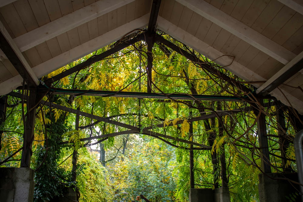 a gazebo covered in vines and trees in a park